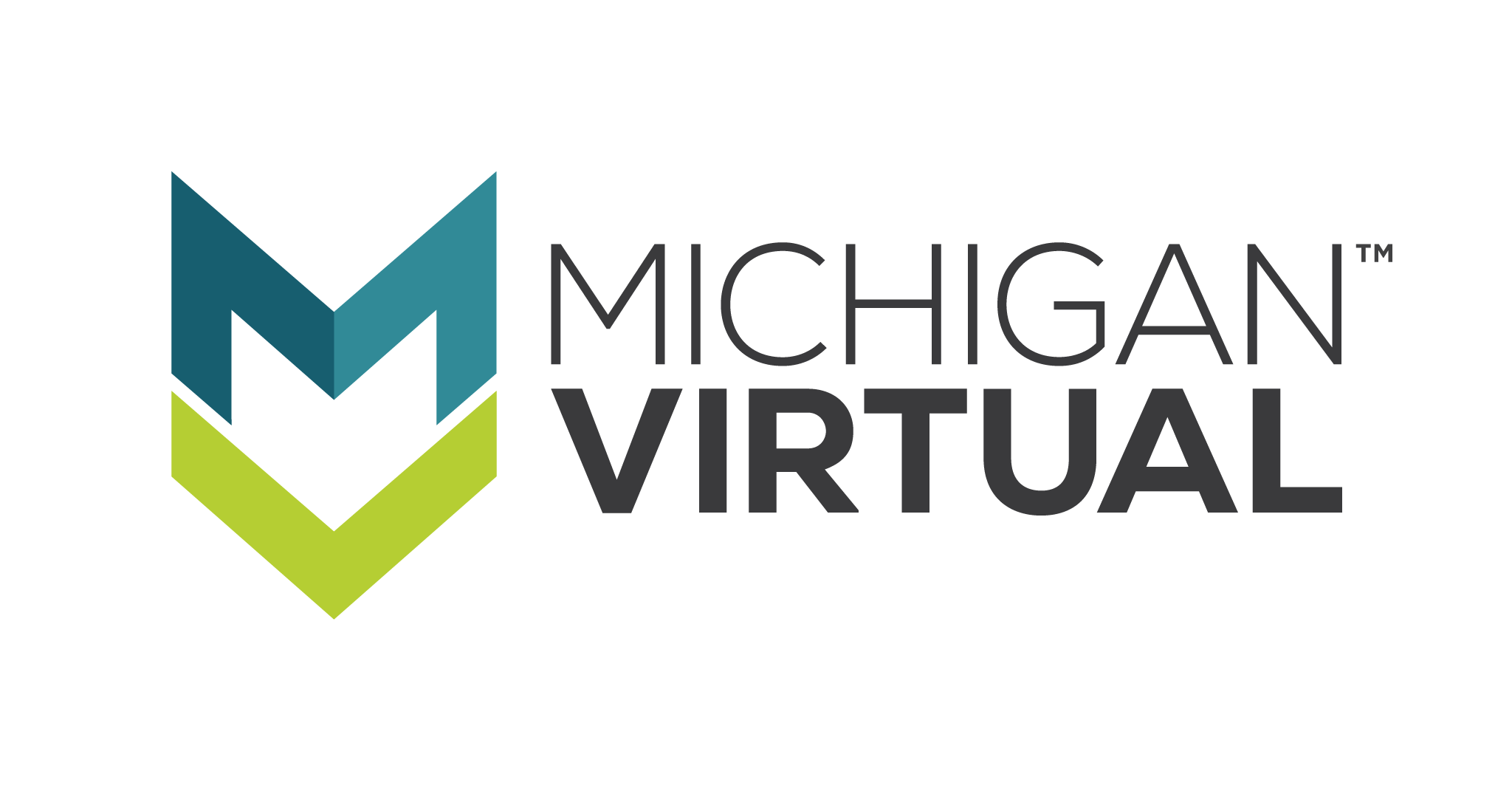 Michigan Virtual Horizontal Stacked Logo