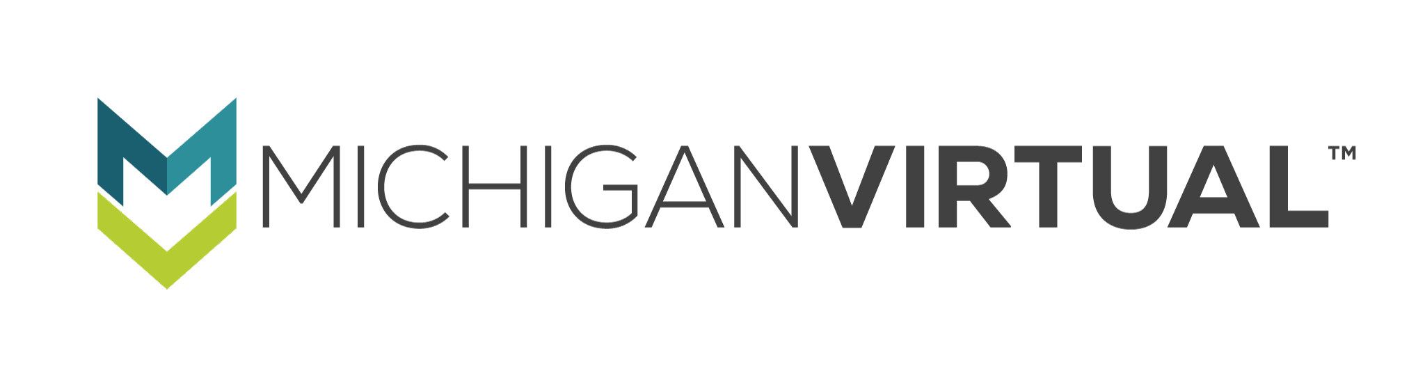 Michigan Virtual Horizontal Logo